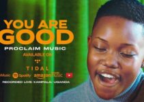 LYRICS for YOU ARE GOOD by Proclaim Music