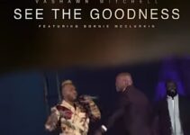 VaShawn Mitchell – SEE THE GOODNESS Lyrics ft Donnie McClur