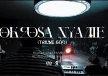 Akesse Brempong – Okrosa Nyame Lyrics Akesse Brempong – Okrosa Nyame Lyrics